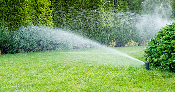 lawn irrigation