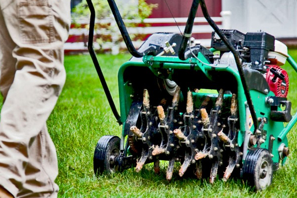 Lawn Aeration