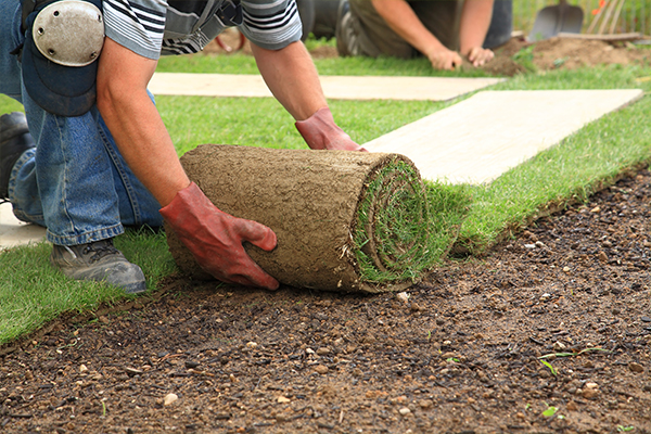 sod installation ct