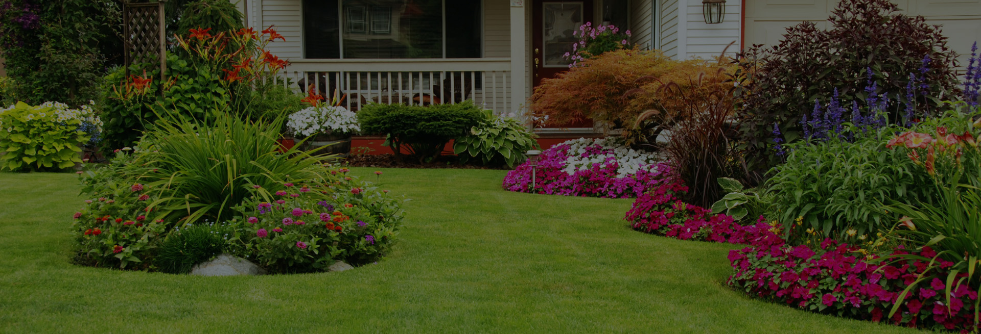 Beautiful Landscaped Yard